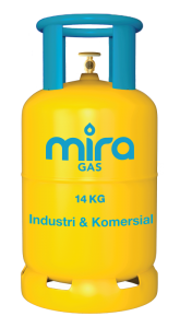 lpg gas price